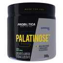 Palatinose Carboidrato de Baixo Índice Glicêmico 300g em Pó | BIGGANG
